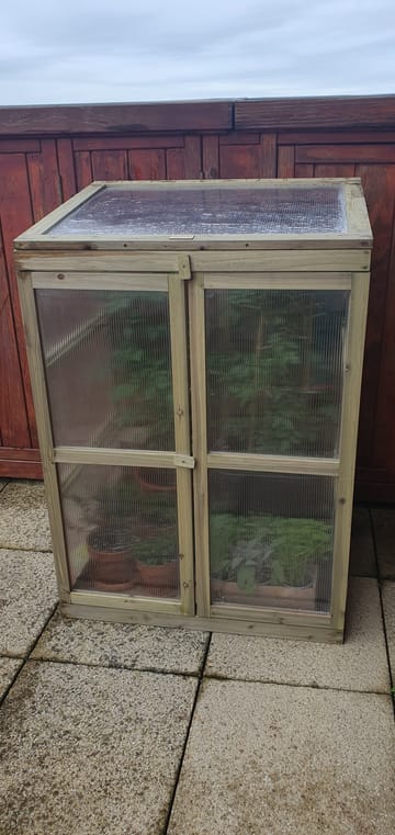 Customer review image