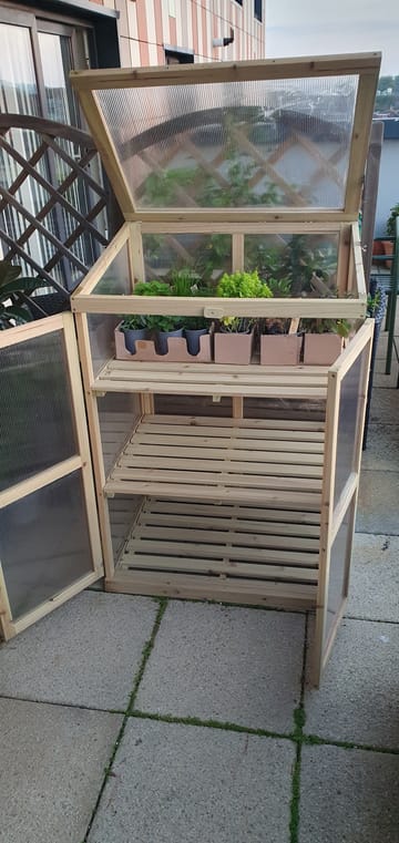 Customer review image