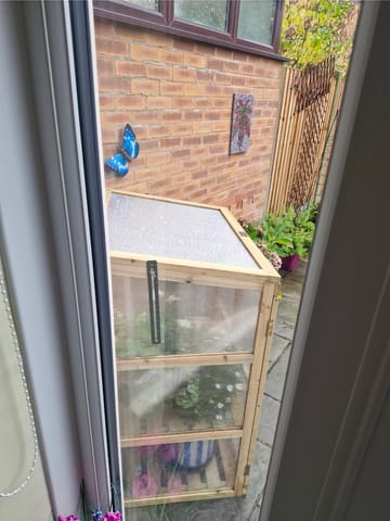 Customer review image