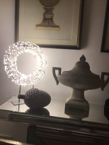 Customer review image