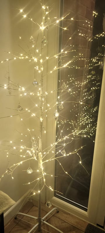 Customer review image