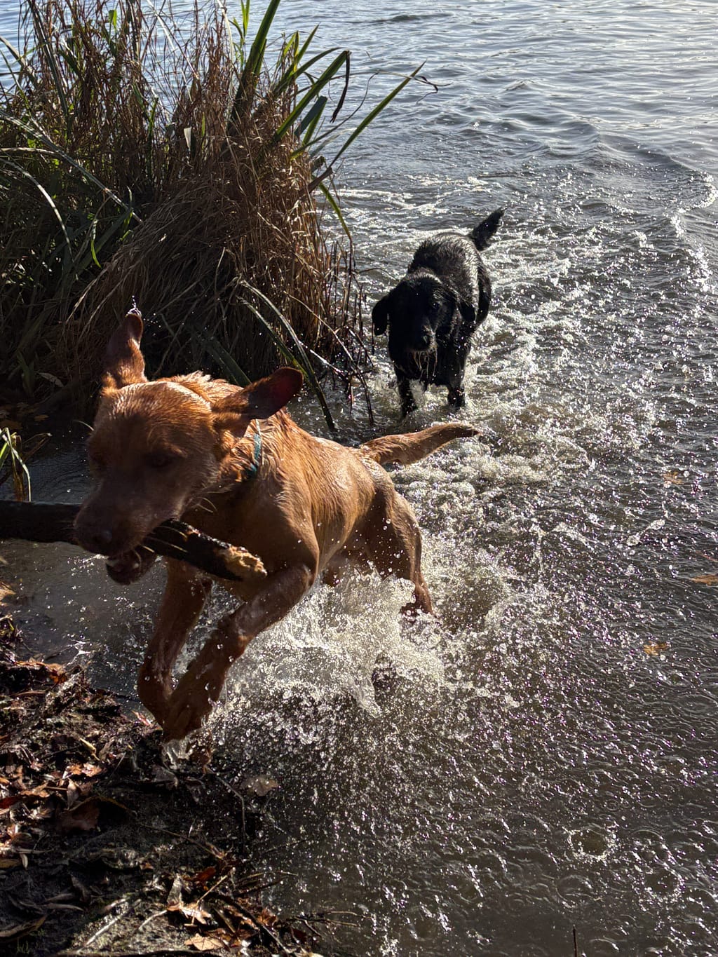 Photo from Anita Bradfield's review