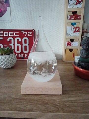 Photo de Béatrice Daugareil