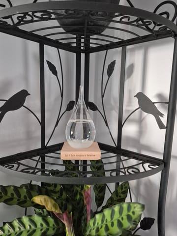 Photo de Christel POUJOL