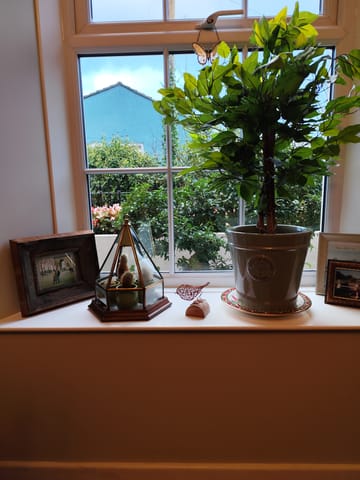 Customer review image