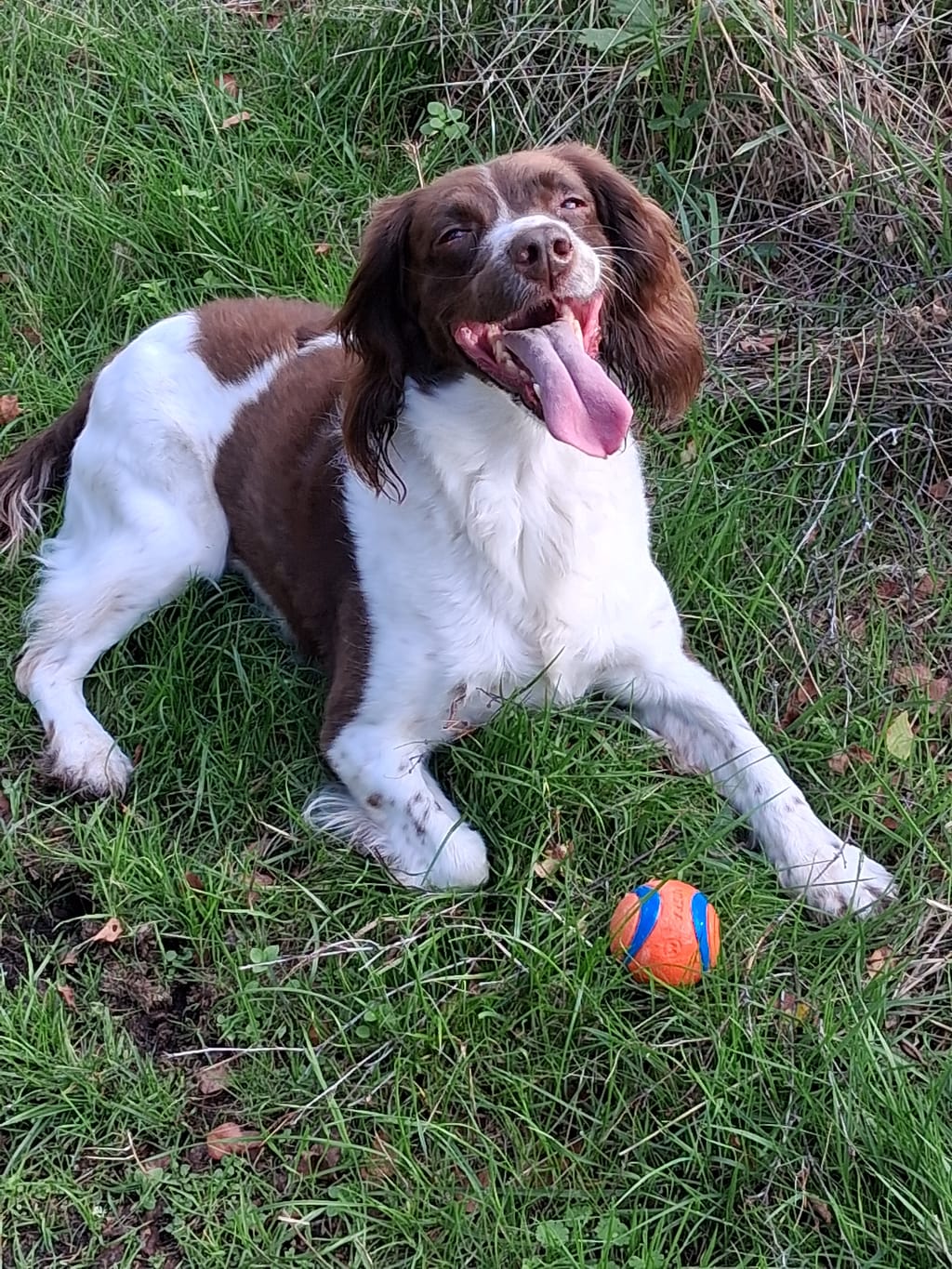 Photo from Pam , Worcestershire's review