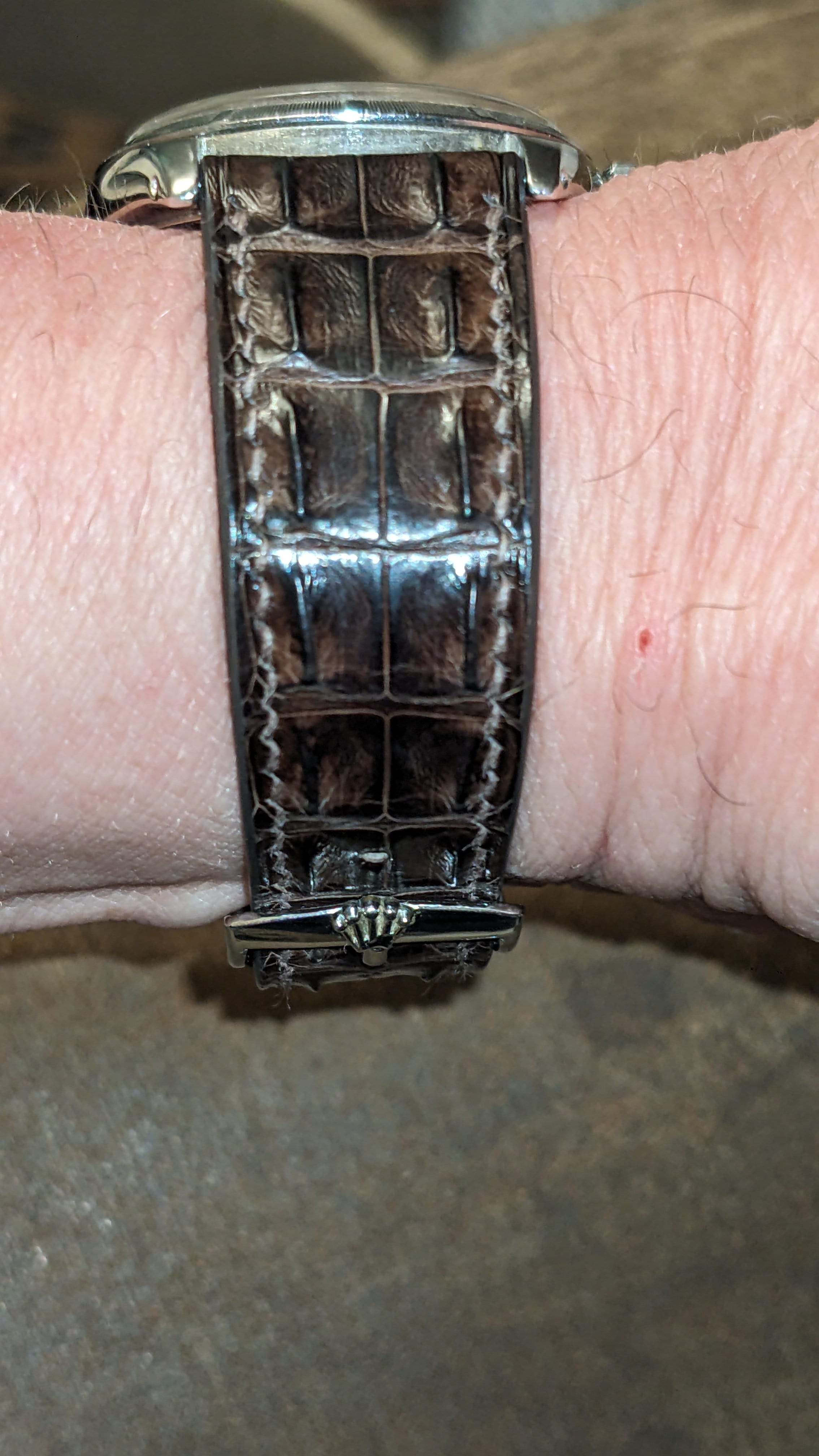 Brown Double Hornback Alligator Watch Strap | Handdn - Bespoke