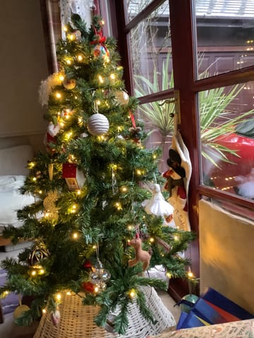 Customer review image