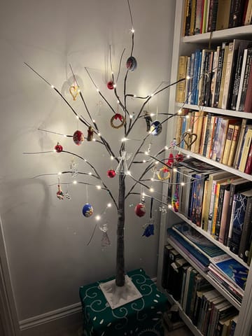 Customer review image