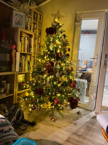 Customer review image