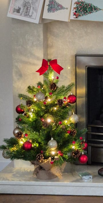 Customer review image