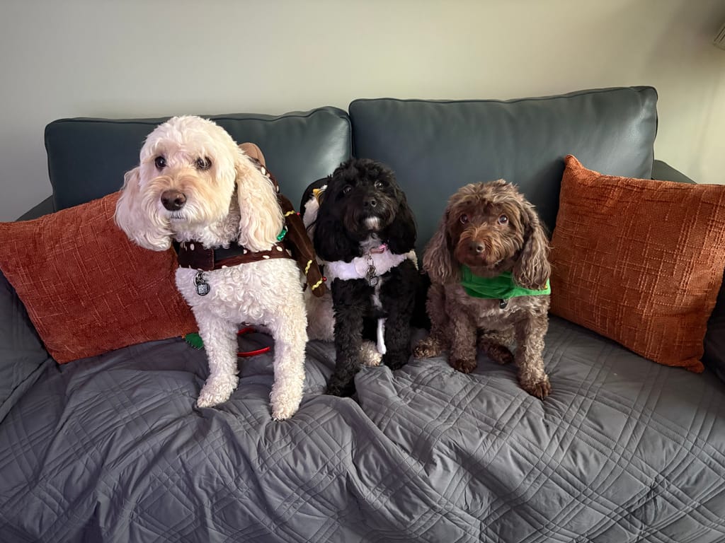 Photo from Lynne Heron's review