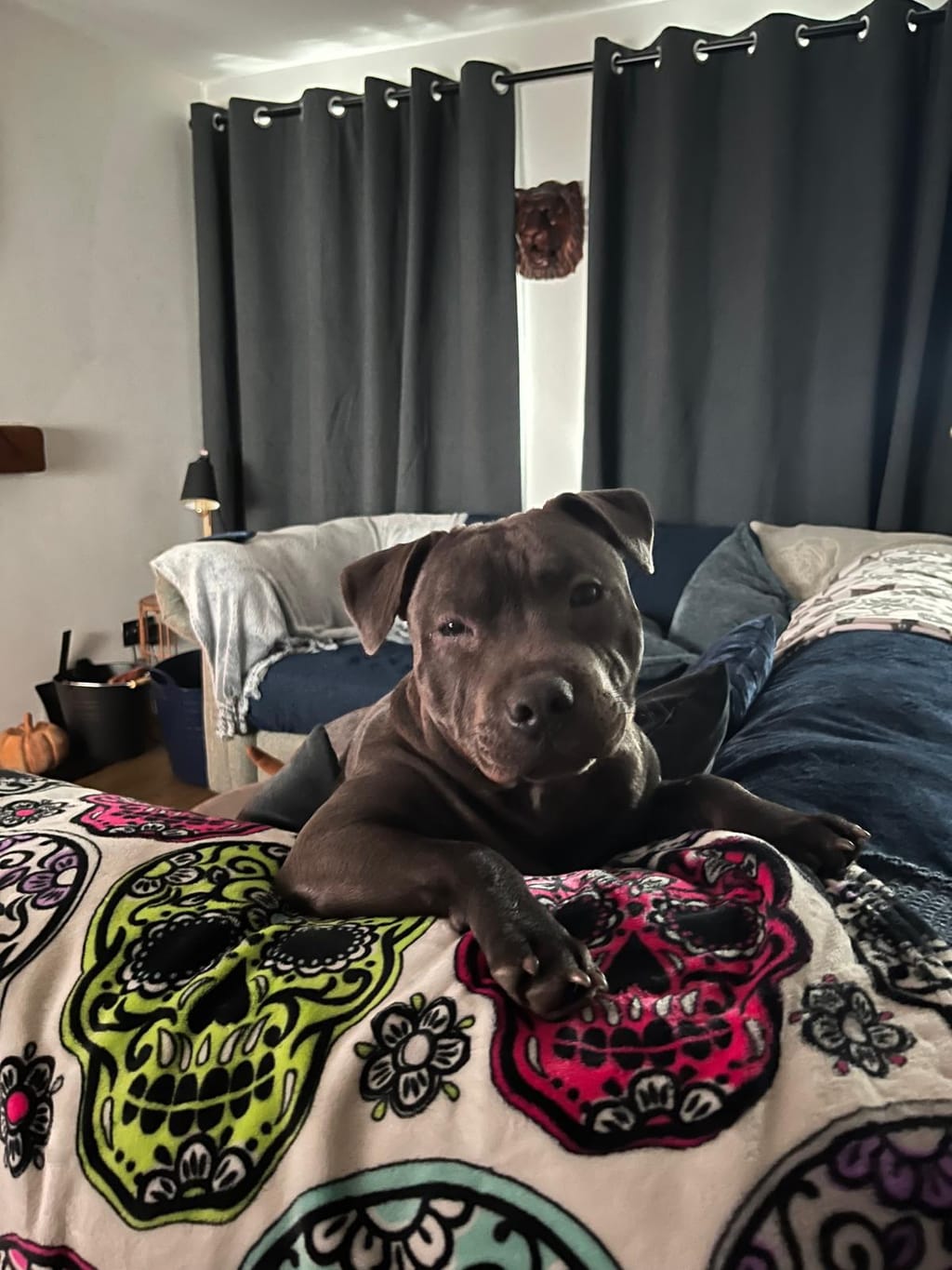 Photo from Lucie Wheeler's review