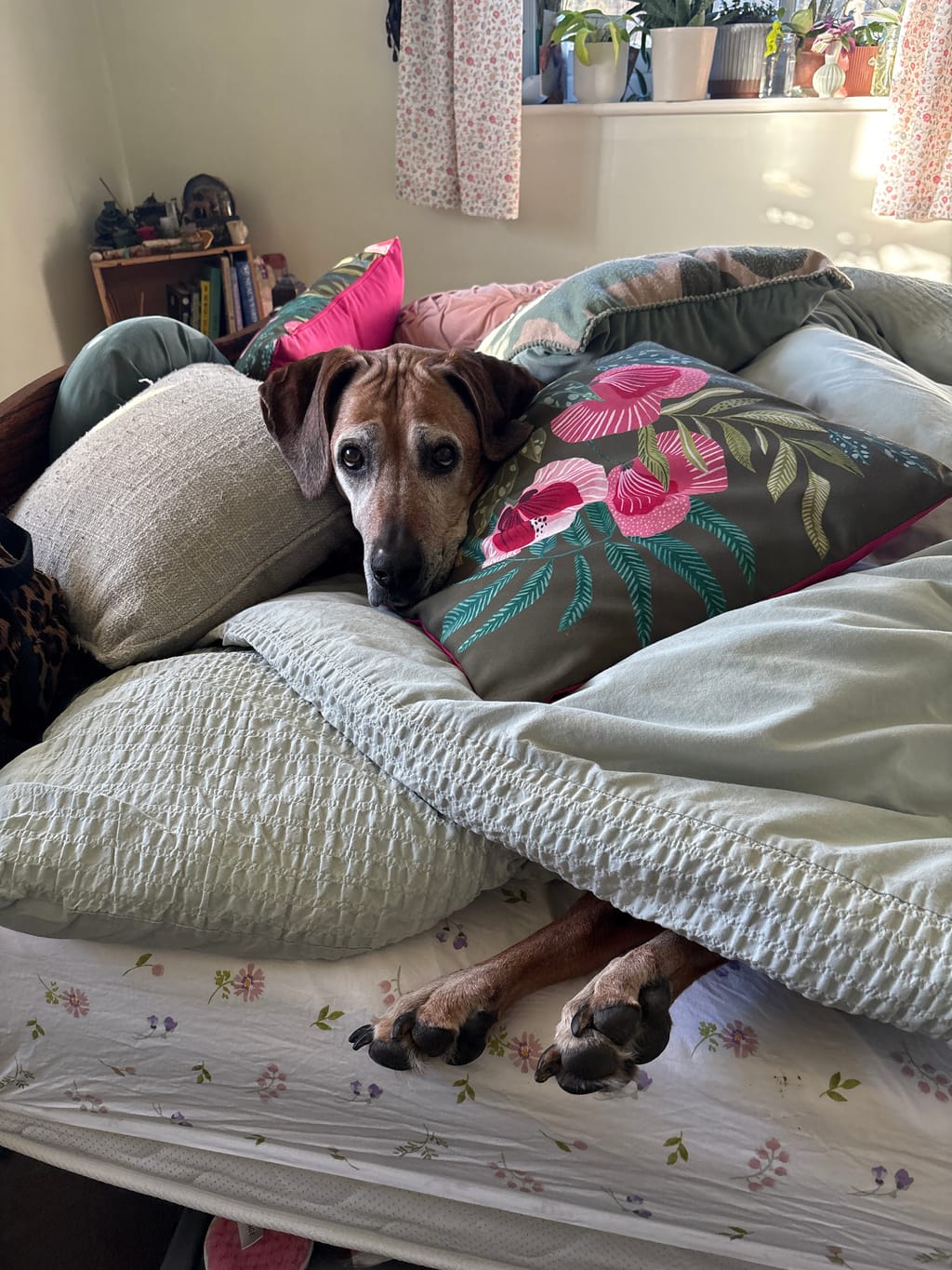 Photo from Andrea Bullard's review