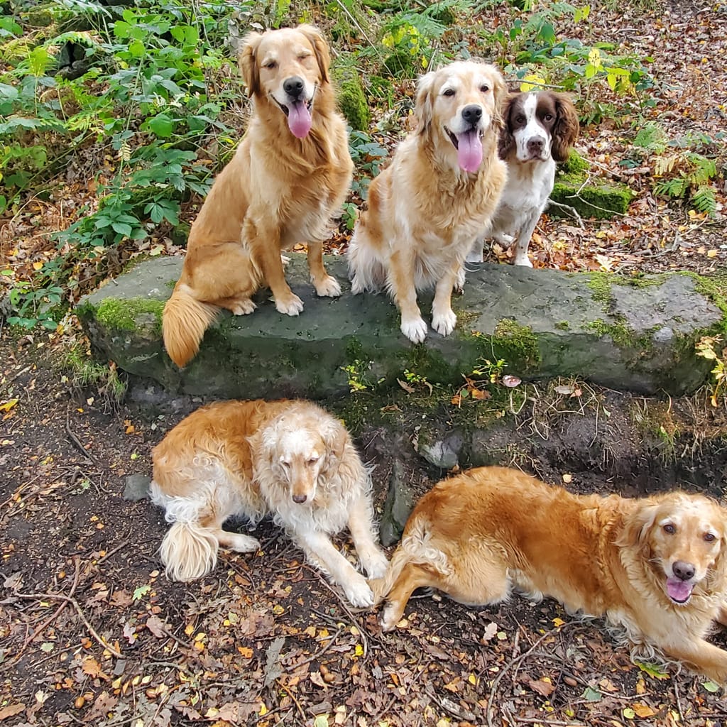 Photo from Anne Crookes's review
