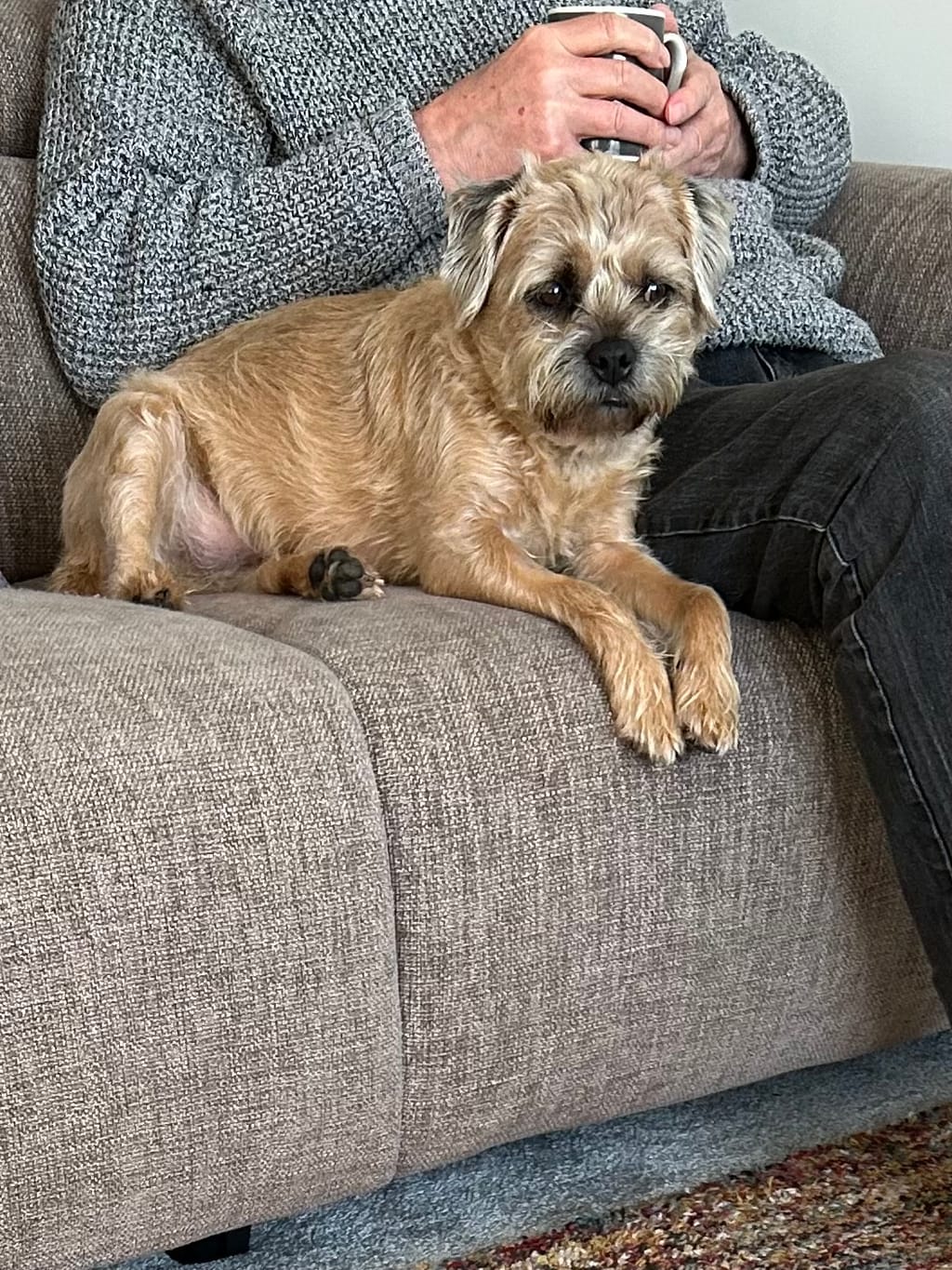Photo from janet's review