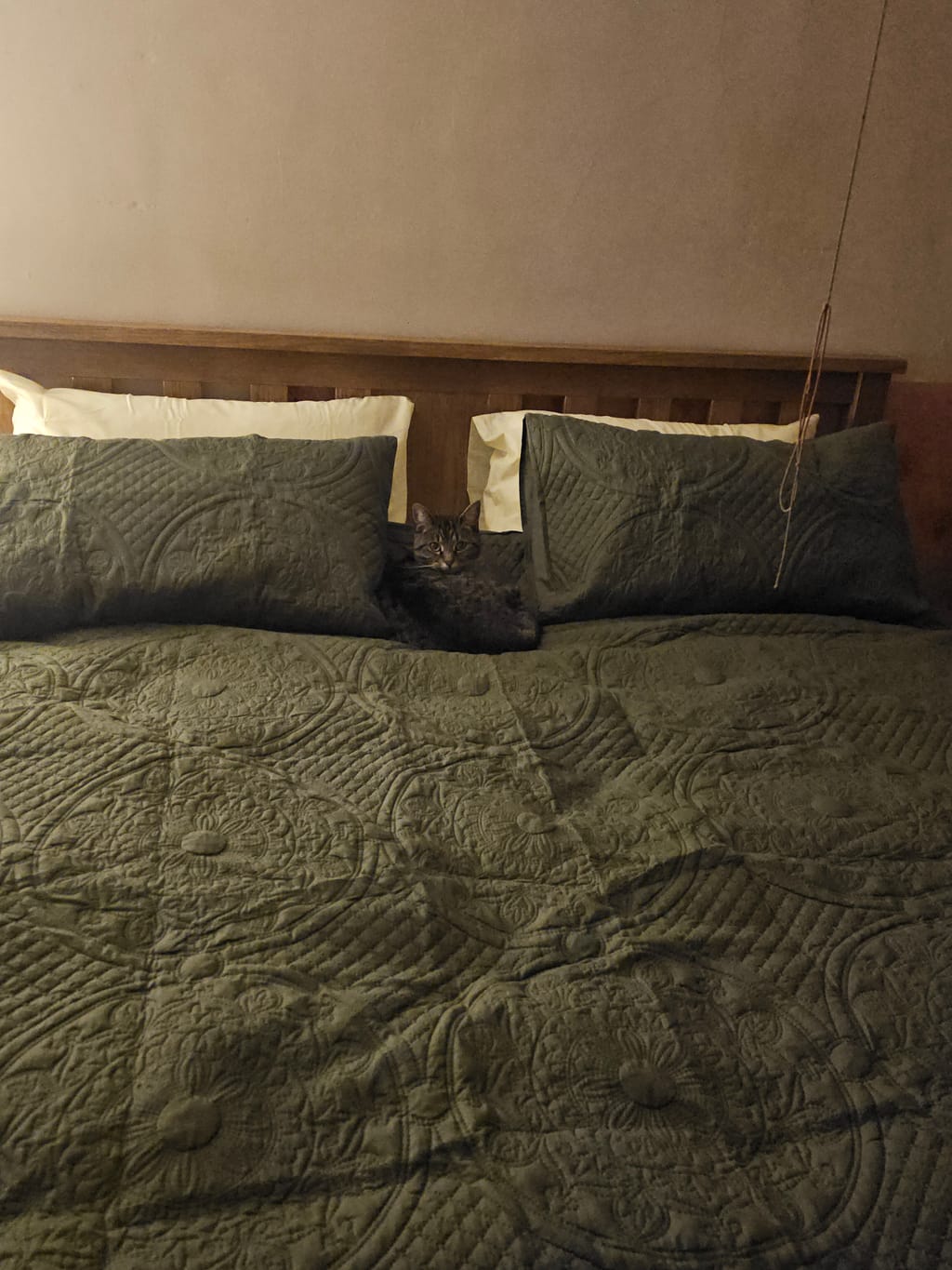 Customer review image