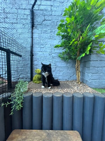 Customer review image