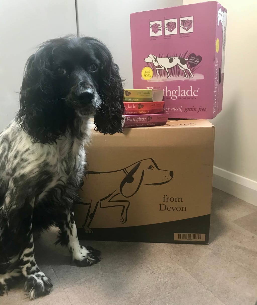 Photo from Kim B's review