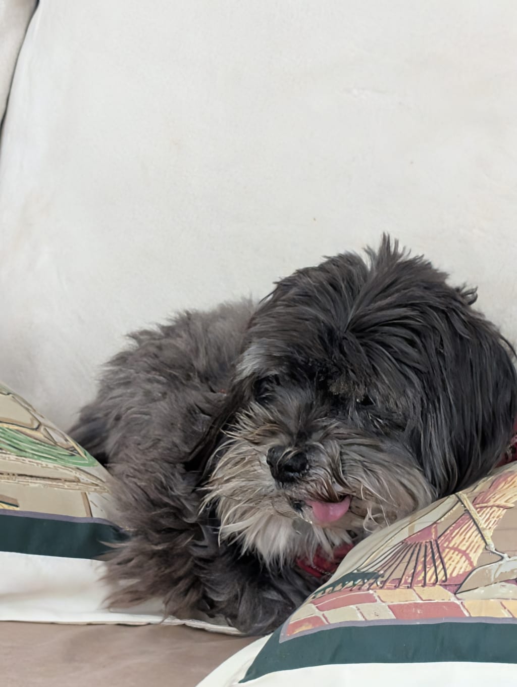 Photo from Maria L.'s review