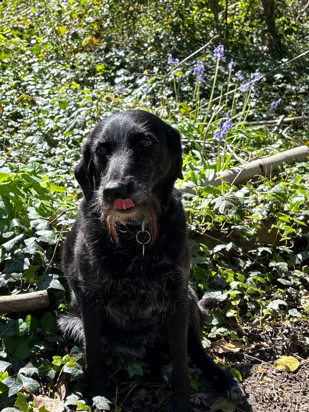 Photo from Anita Bradfield's review