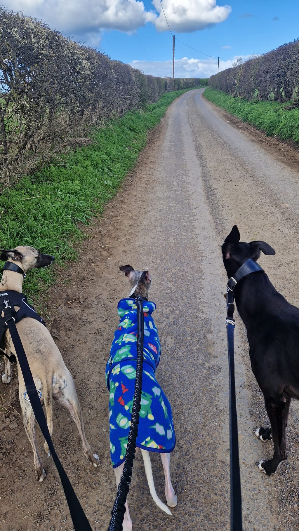 Photo from Lisa MacGregor's review