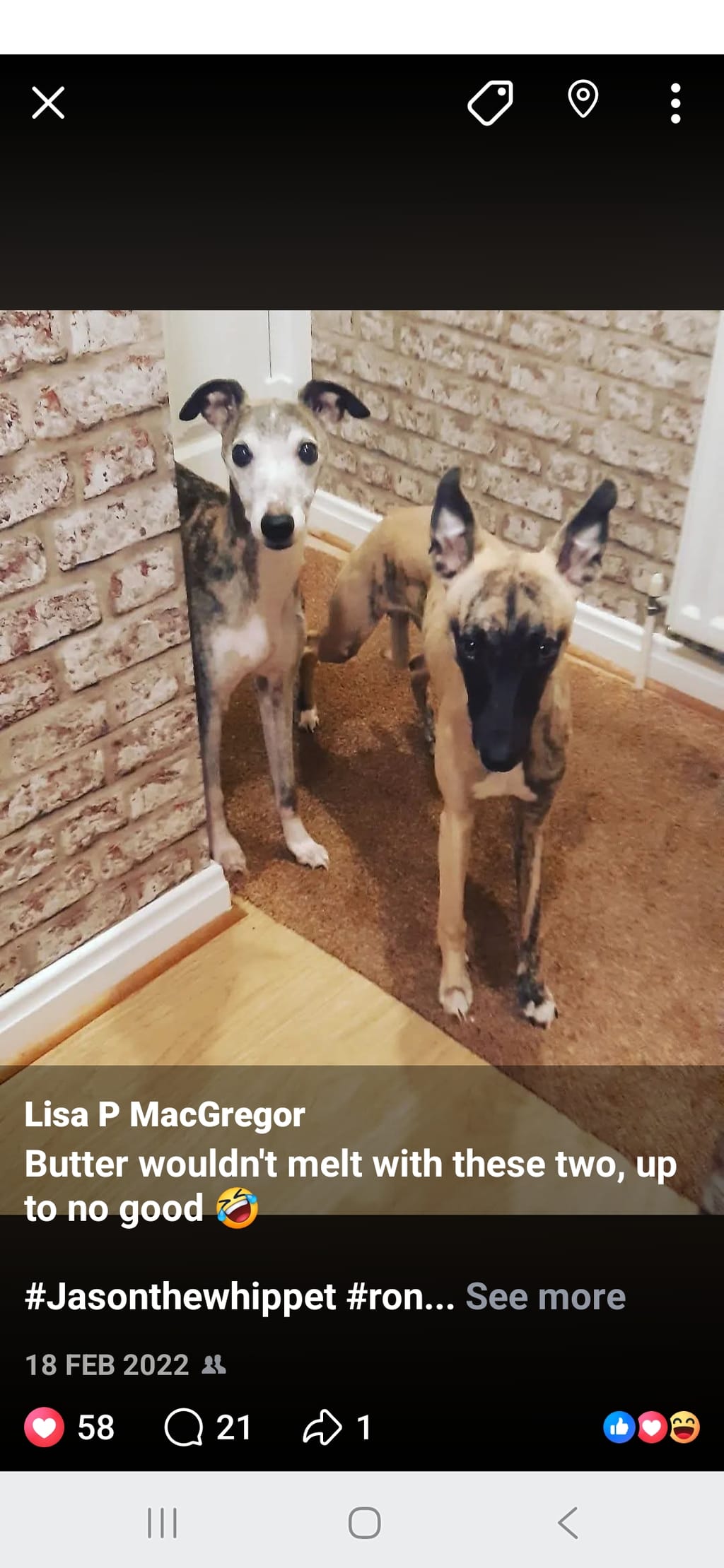 Photo from Lisa MacGregor's review