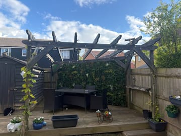 Customer review image