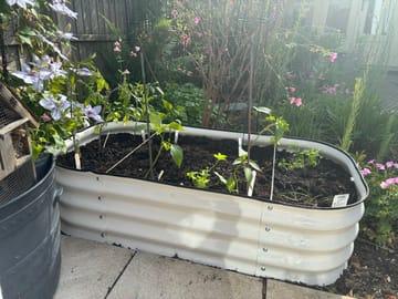 Customer review image