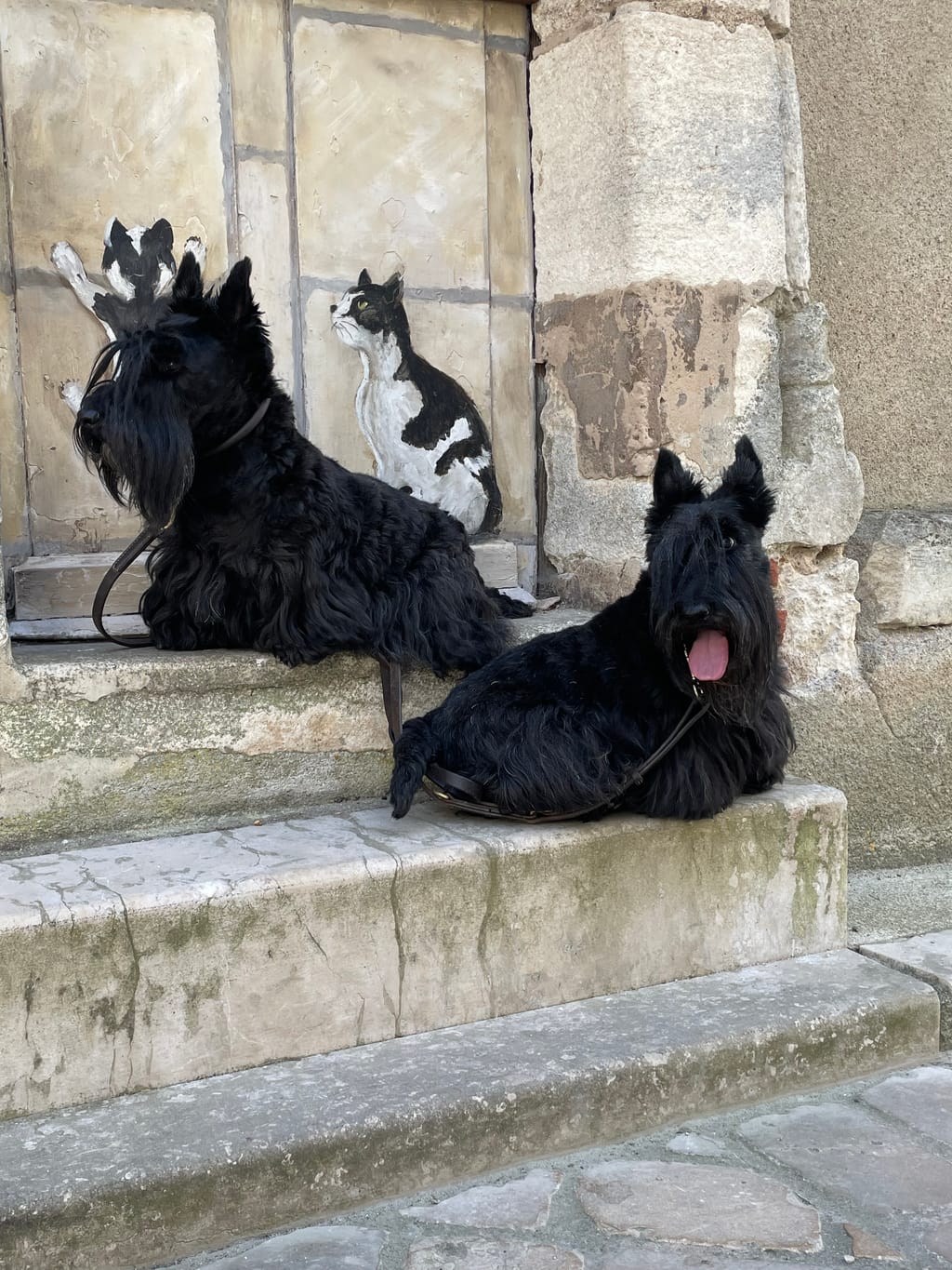 Photo from Miss Cora Vacher's review