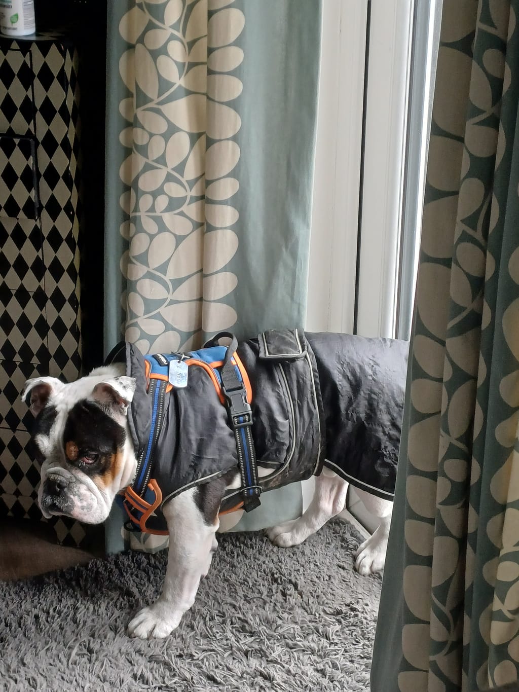 Photo from Margaret Baker's review