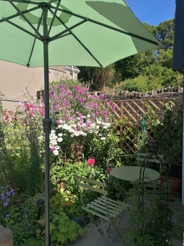 Customer review image