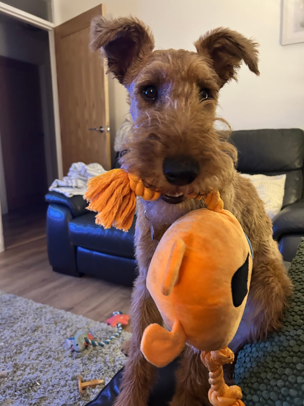 Photo from Julie Bridgewood's review