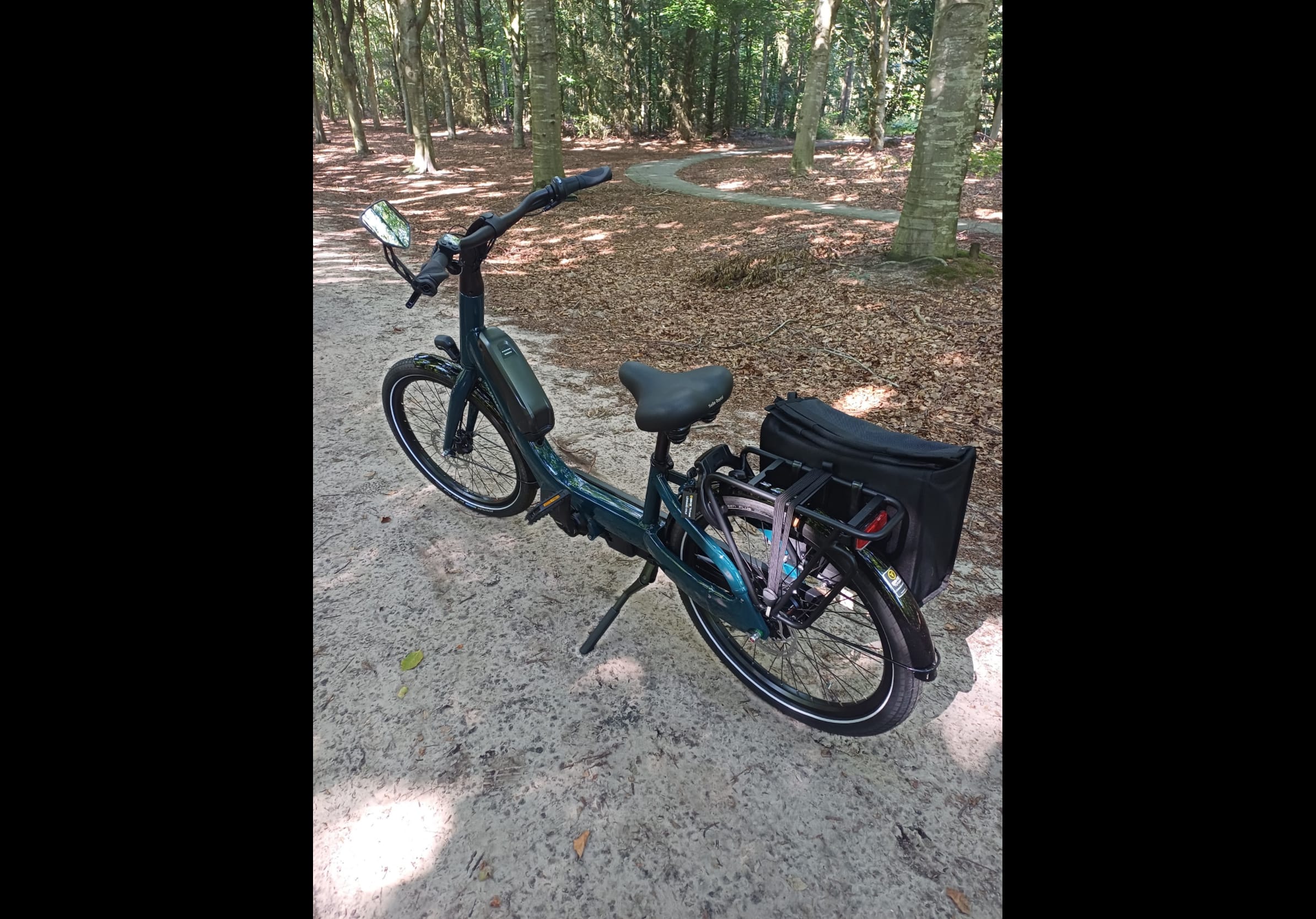 Gazelle Easyflow C7 lage instap kopen? - Bike Totaal