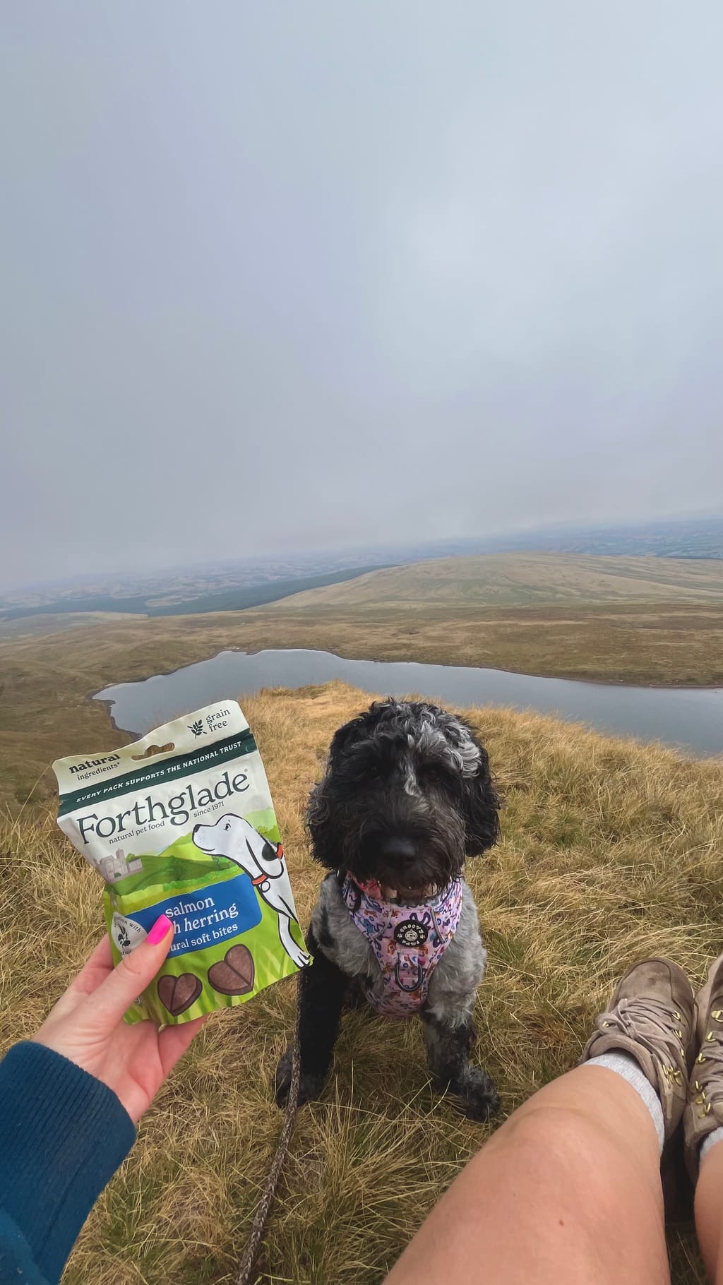 Photo from Catrin Davies's review