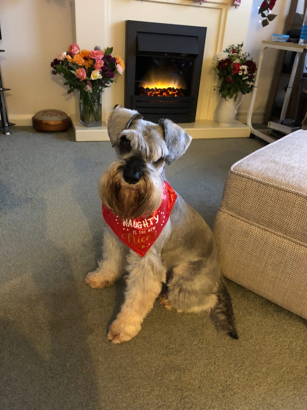 Photo from Mrs Jennifer Richards's review