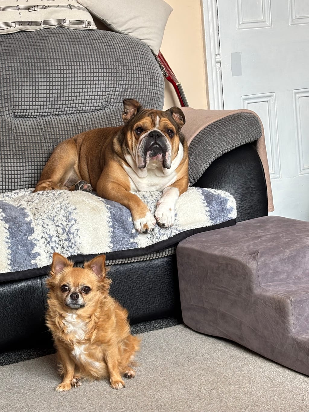 Photo from Bridget's review