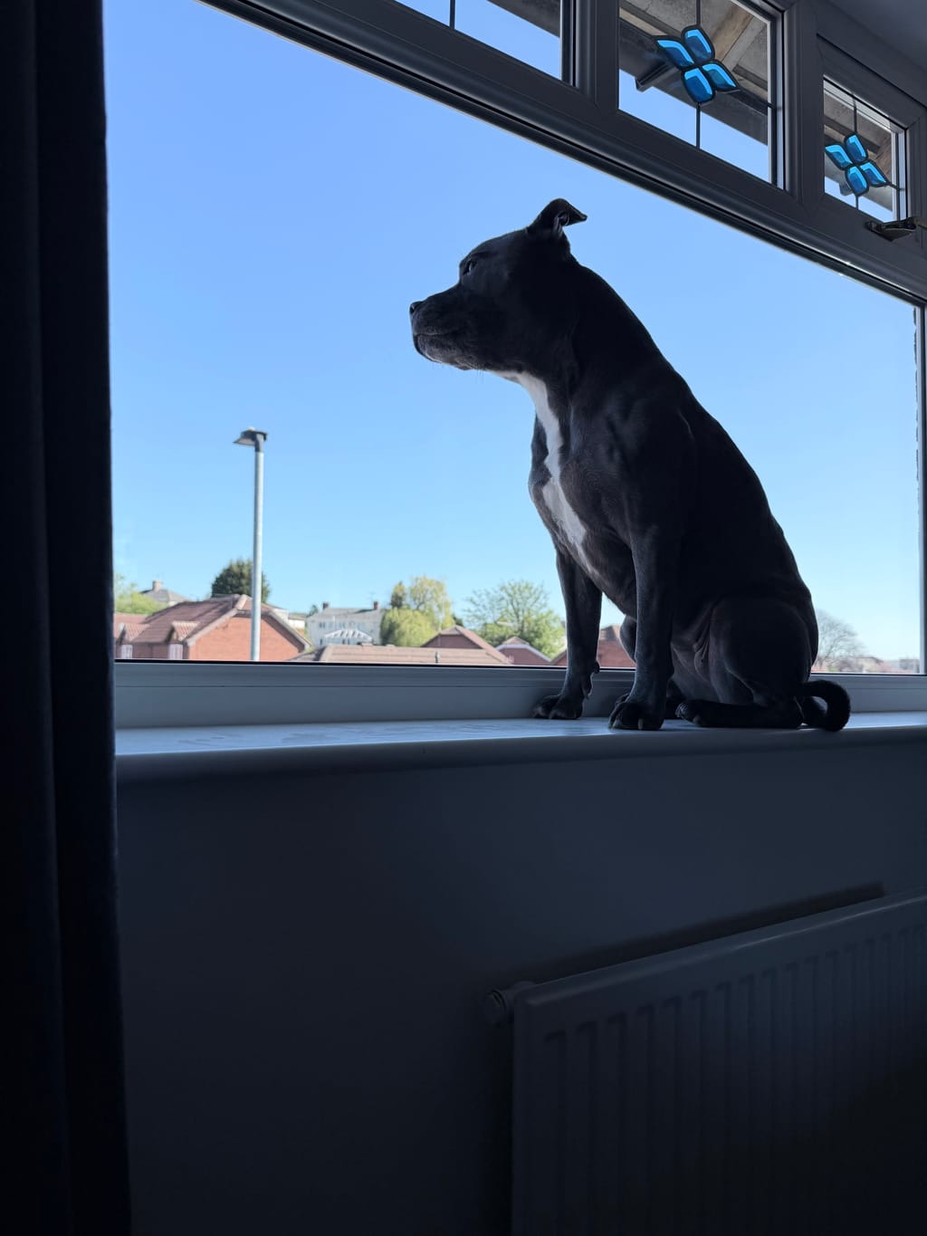 Photo from Carol's review