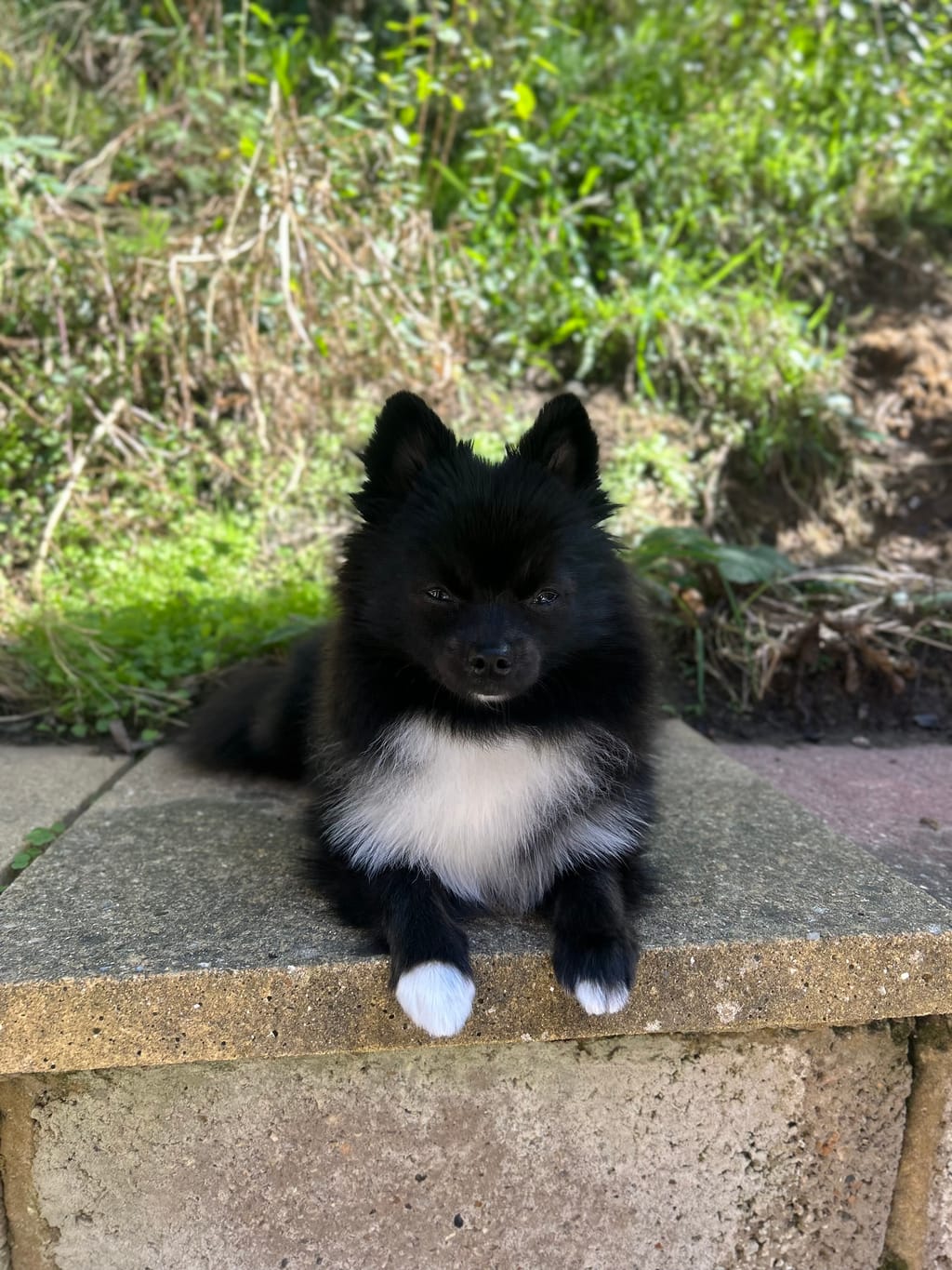 Photo from Sophie's review