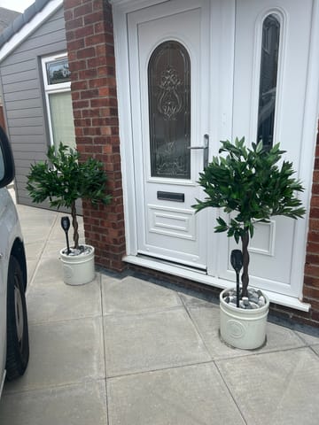 Customer review image