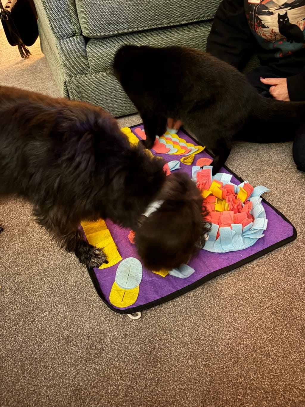 Photo from Mrs Carol  Brownlie's review
